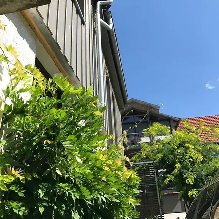 Blackbird'S Nest Wiesenbronn Extérieur photo