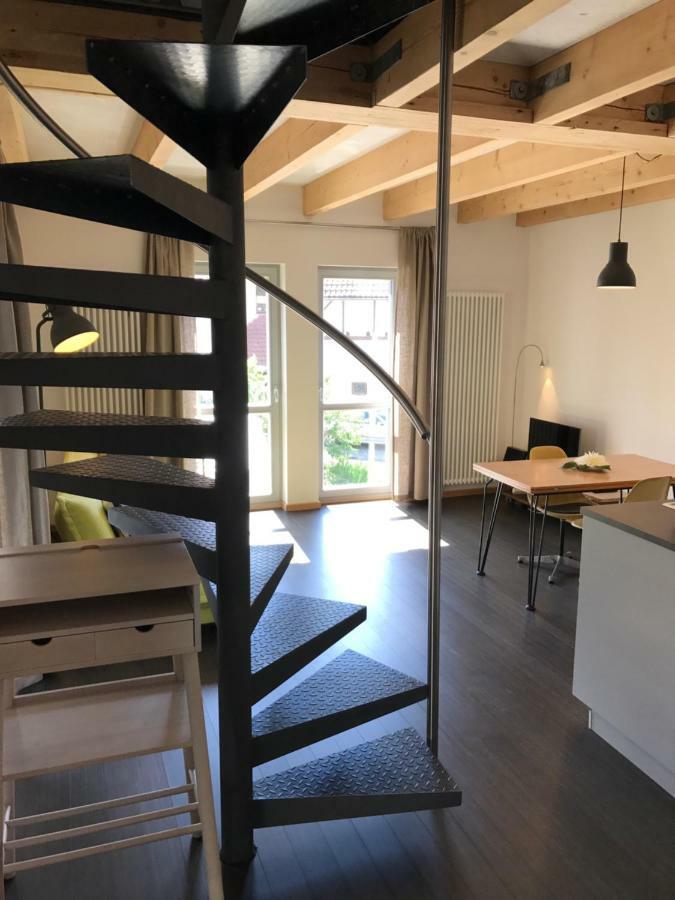 Blackbird's Nest Wiesenbronn